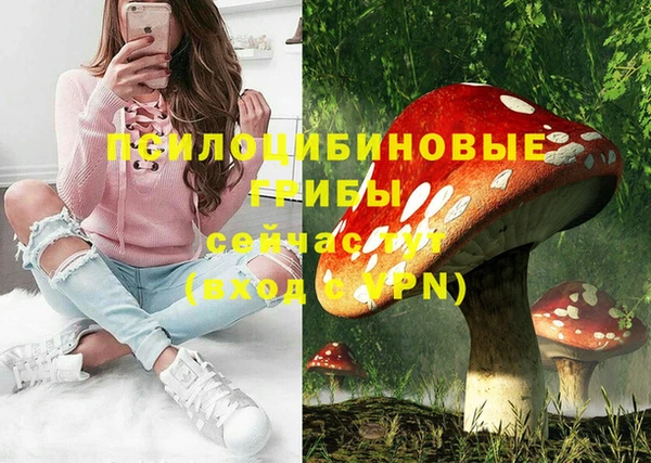 винт Алзамай